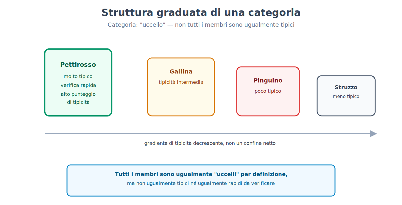 Struttura graduata di una categoria: alcuni membri sono più tipici di altri